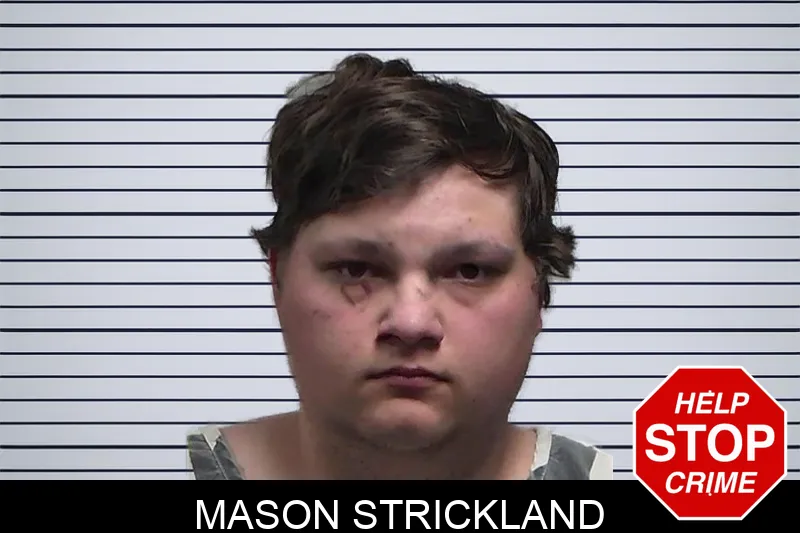 Mason Strickland mugshot