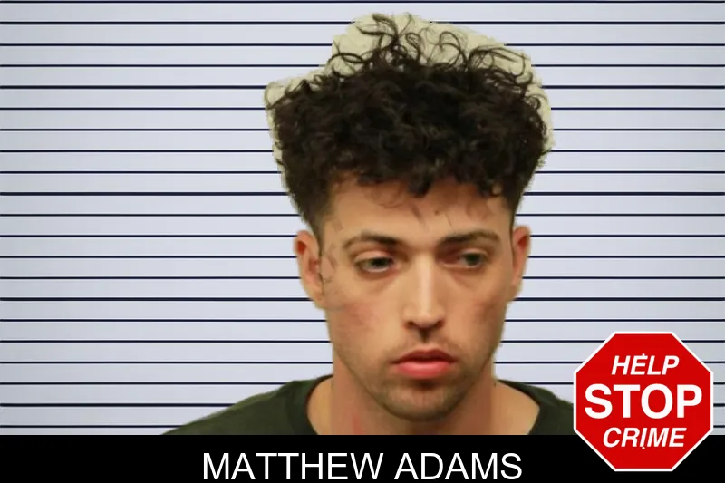 Matthew Adams mugshot – Chatham County , Georgia Matthew Adams mugshot