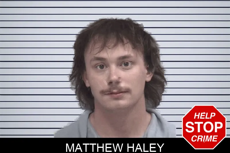 Matthew Haley mugshot