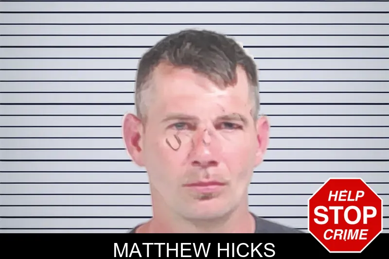 Matthew Hicks mugshot – Lowndes County , Georgia Matthew Hicks mugshot