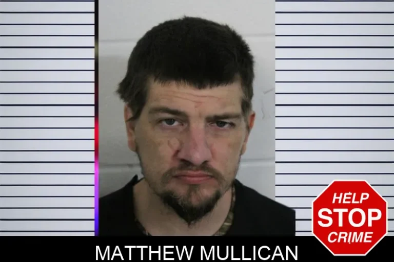 Matthew Mullican