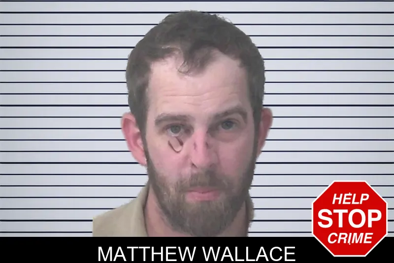 Matthew Wallace mugshot
