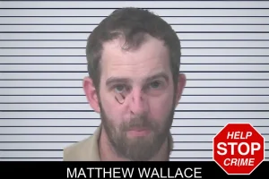 Matthew Wallace mugshot