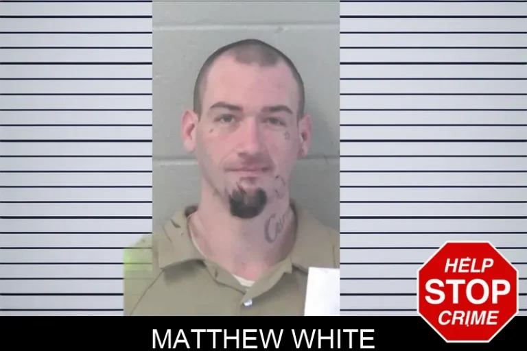 Matthew White
