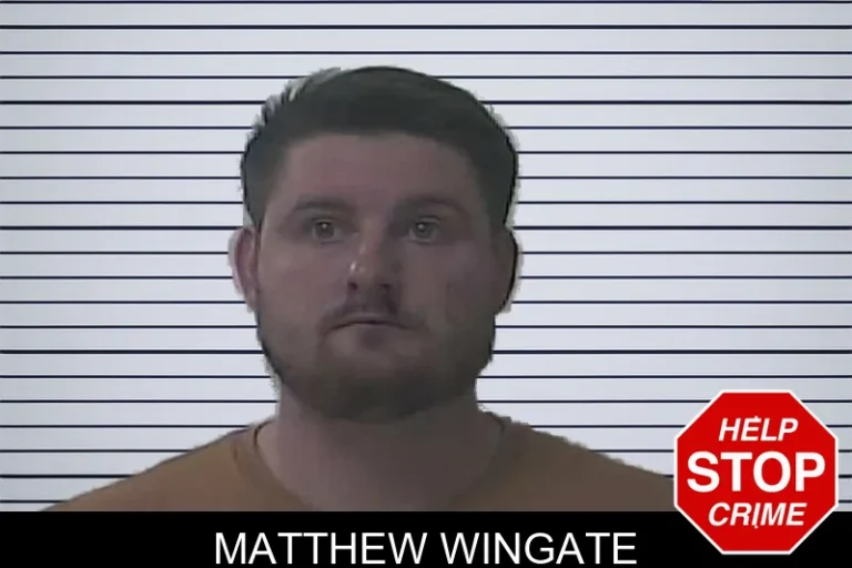 Matthew Wingate