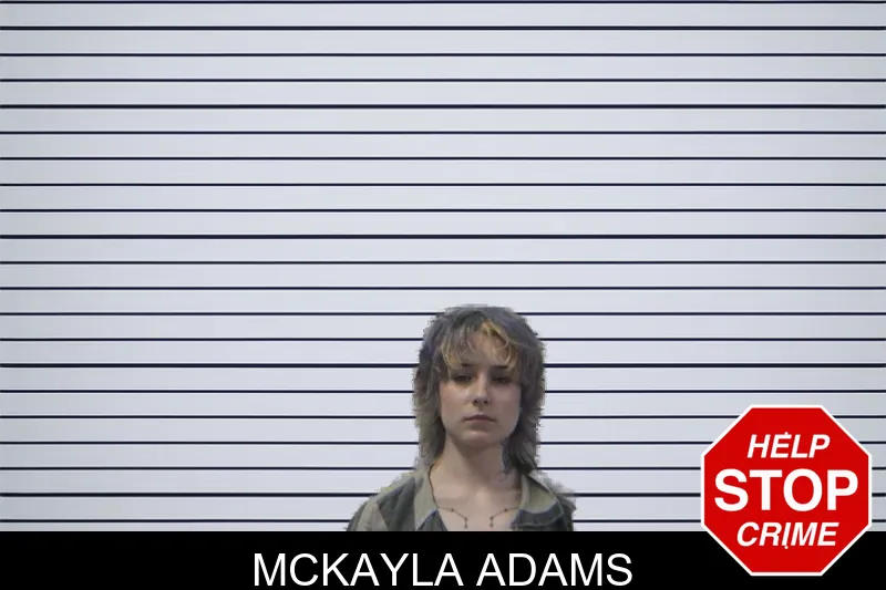 McKayla Adams mugshot