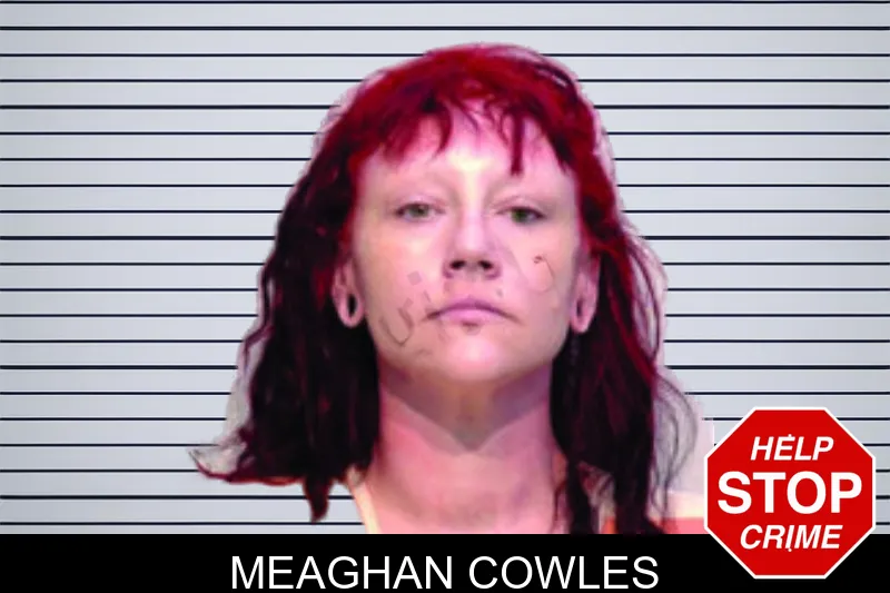 Meaghan Cowles mugshot – Bartow County , Georgia Meaghan Cowles mugshot