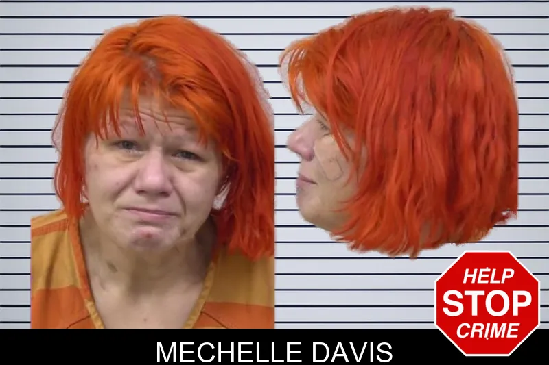 Mechelle Davis mugshot – Paulding County , Georgia Mechelle Davis mugshot
