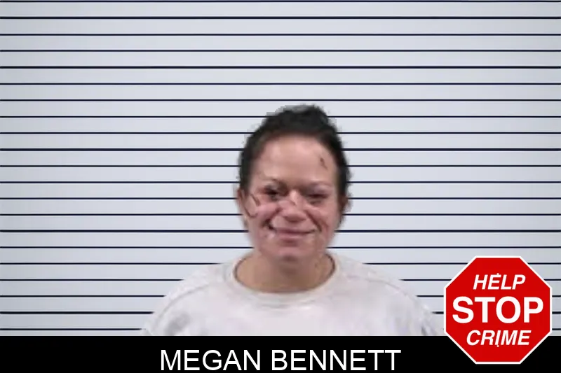 Megan Bennett mugshot – Banks County , Georgia Megan Bennett mugshot