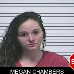 Megan Chambers mugshot – Dawson County , Georgia Megan Chambers mugshot