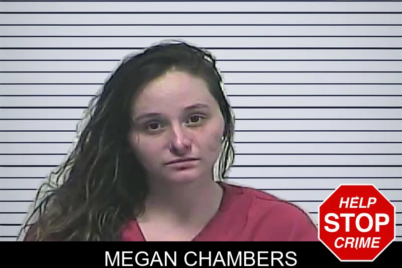 Megan Chambers mugshot