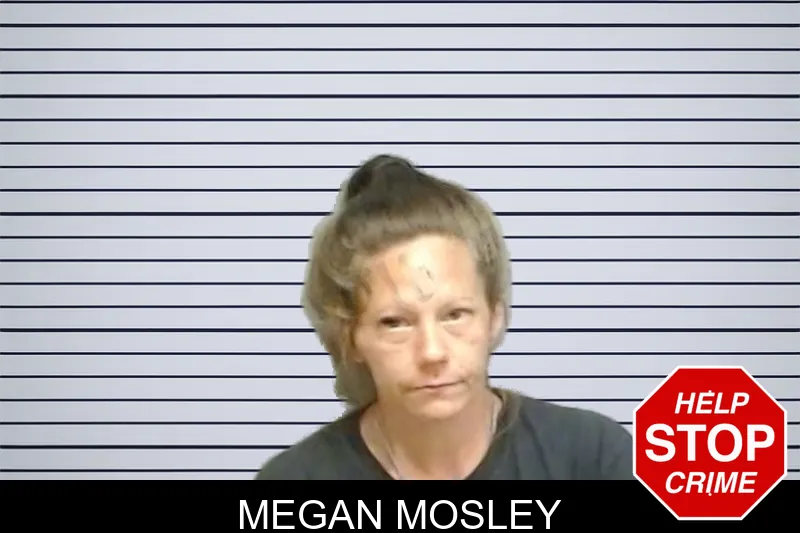 Megan Mosley mugshot – Fulton County , Georgia Megan Mosley mugshot