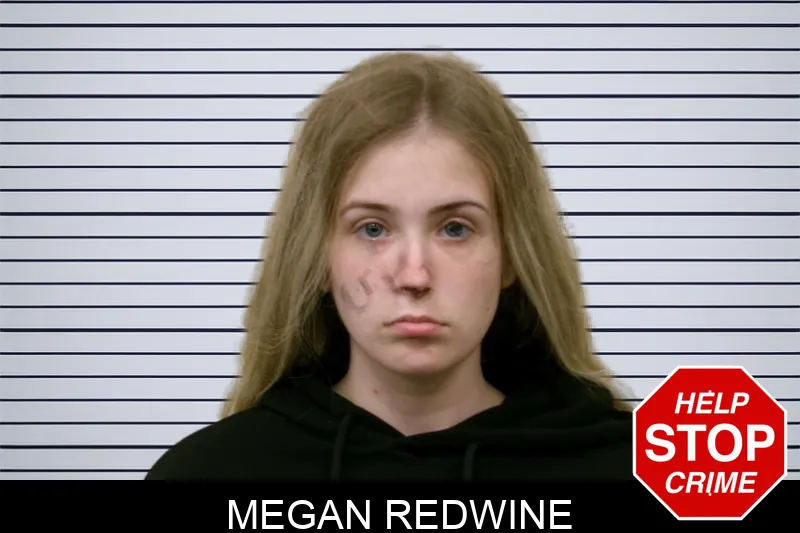 Megan Redwine mugshot