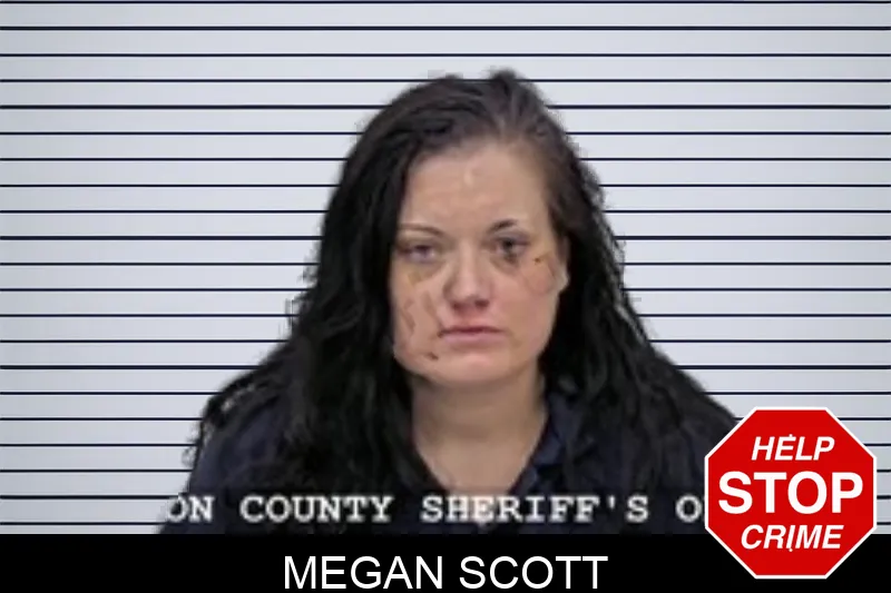Megan Scott mugshot