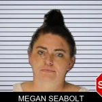 Megan Seabolt mugshot