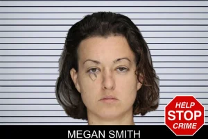 Megan Smith mugshot