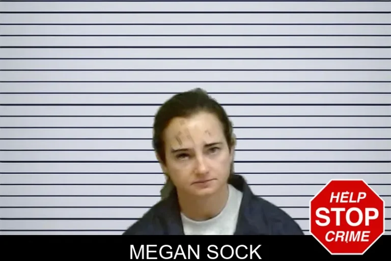 Megan Sock mugshot – Fulton County , Georgia Megan Sock