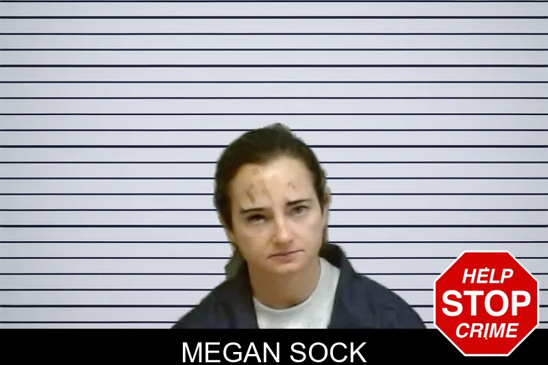 Megan Sock mugshot – Fulton County , Georgia Megan Sock mugshot