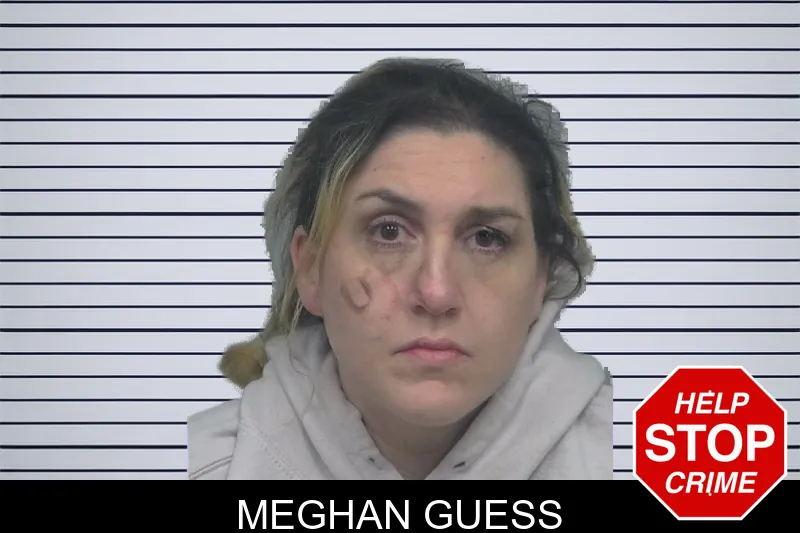 Meghan Guess mugshot