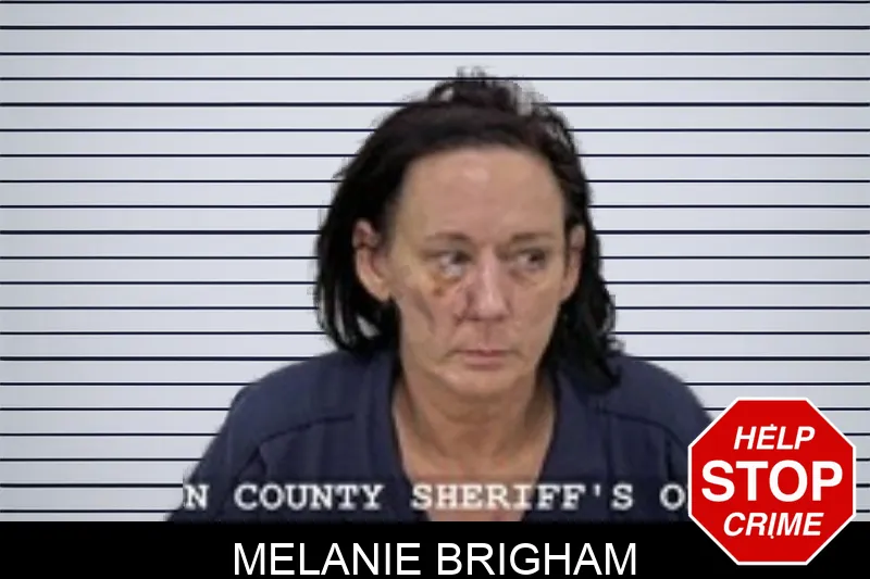 Melanie Brigham mugshot – Walton County , Georgia Melanie Brigham mugshot