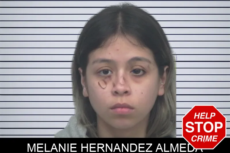 Melanie Hernandez Almeda mugshot – Gwinnett County , Georgia Melanie Hernandez Almeda mugshot