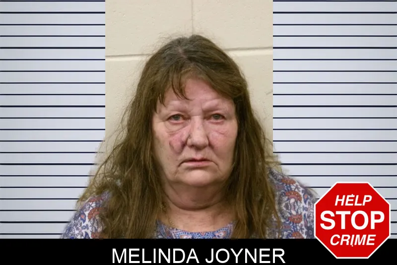 Melinda Joyner mugshot – Bulloch County , Georgia Melinda Joyner mugshot