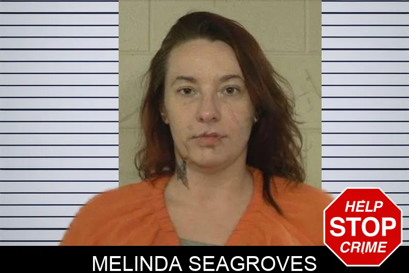 Melinda Seagroves mugshot