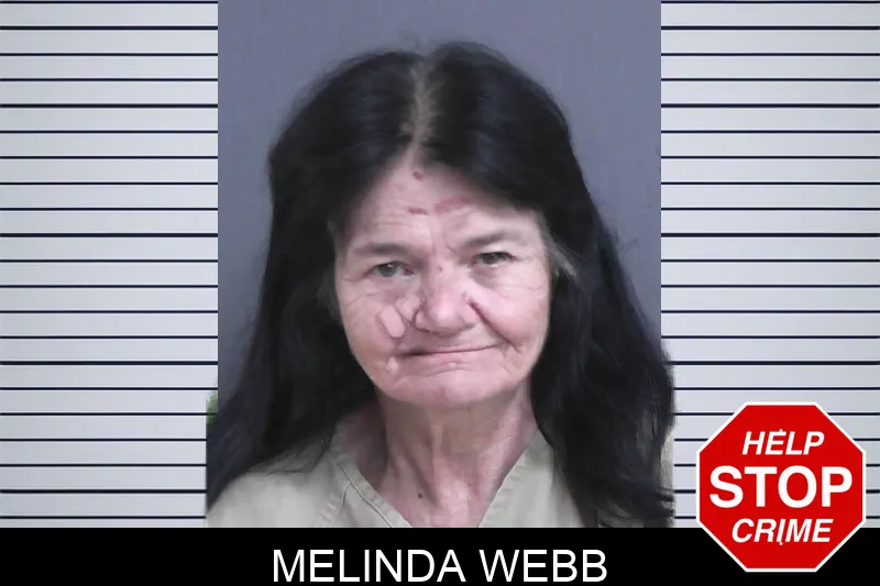 Melinda Webb mugshot