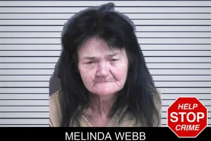 Melinda Webb mugshot