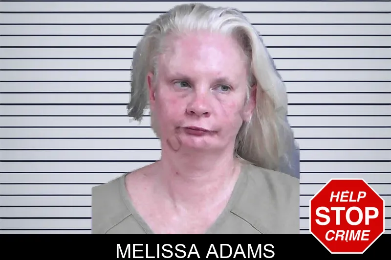 Melissa Adams mugshot