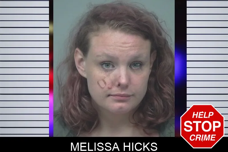 Melissa Hicks mugshot