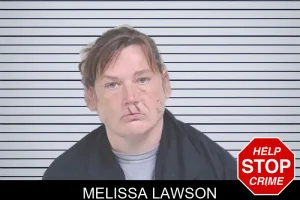 Melissa Lawson mugshot