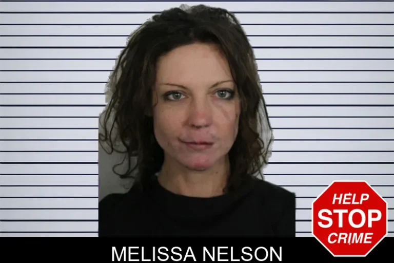 Melissa Nelson mugshot – Floyd County , Georgia Melissa Nelson