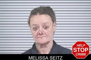 Melissa Seitz mugshot