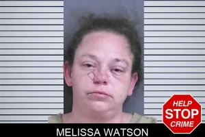 Melissa Watson mugshot