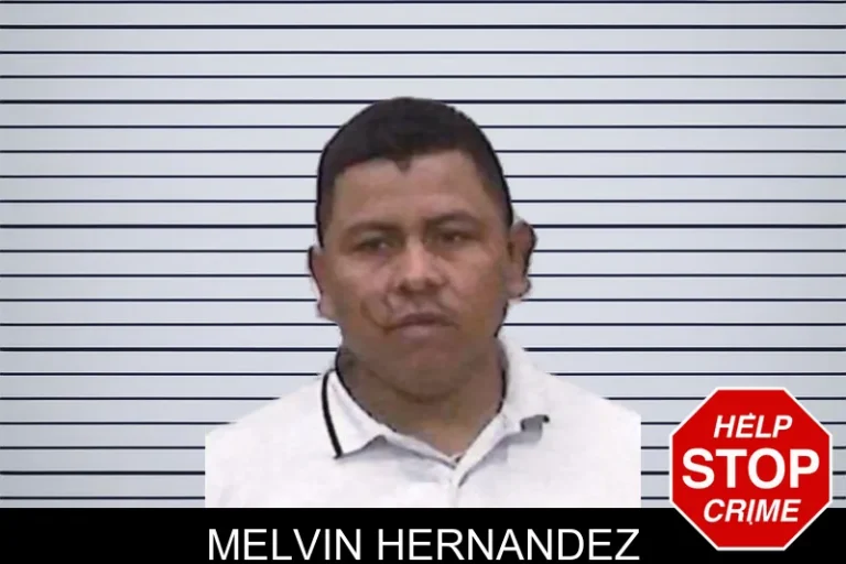 Melvin Hernandez