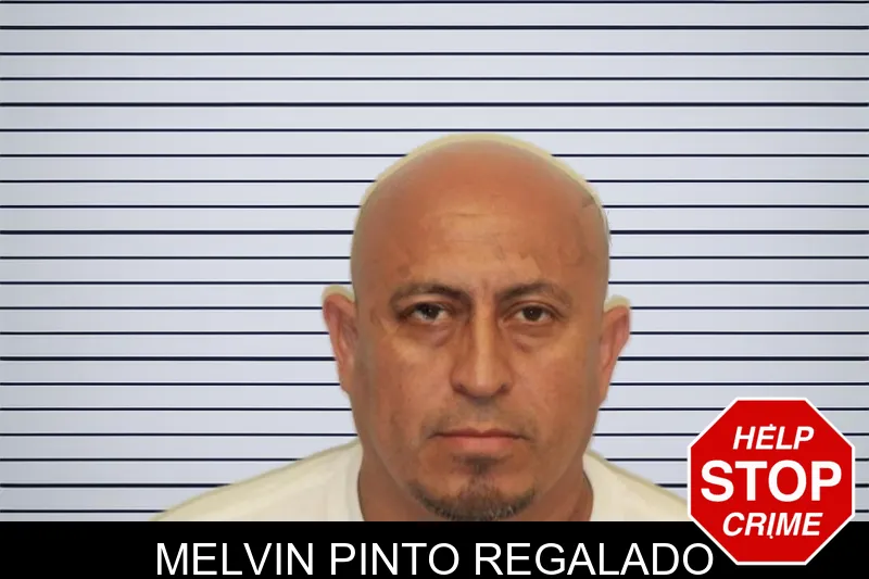 Melvin Pinto Regalado mugshot