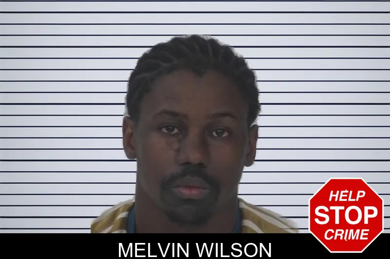Melvin Wilson mugshot