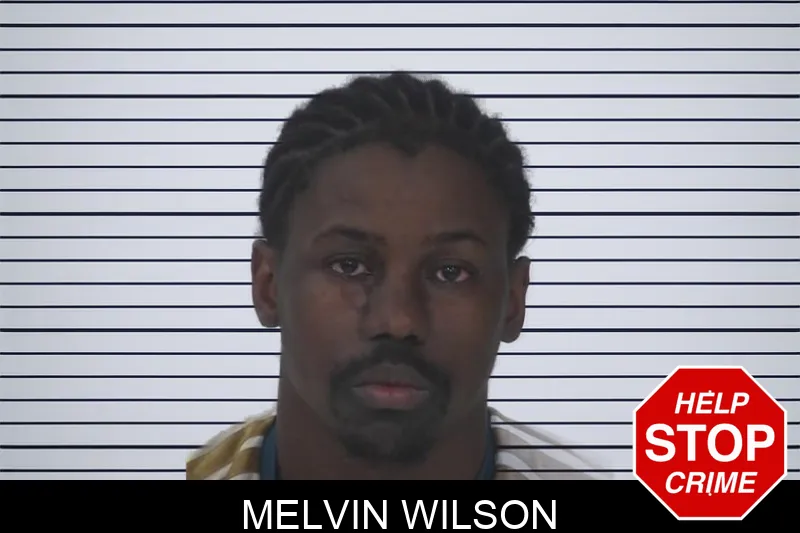 Melvin Wilson mugshot