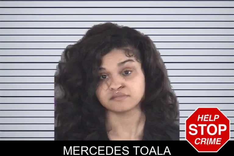 Mercedes Toala mugshot – Henry County , Georgia Mercedes Toala