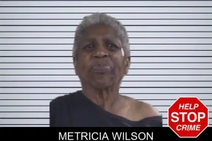 Metricia Wilson mugshot