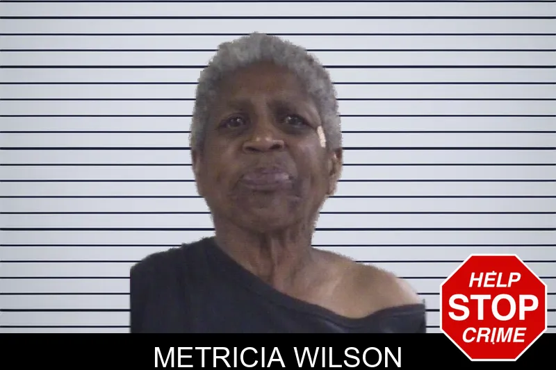Metricia Wilson mugshot