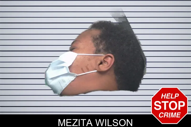 Mezita Wilson mugshot