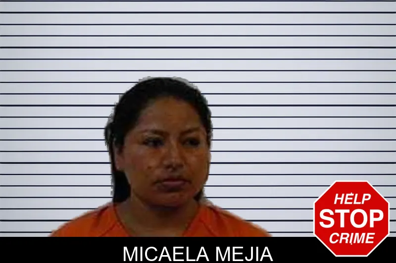 Micaela Mejia mugshot