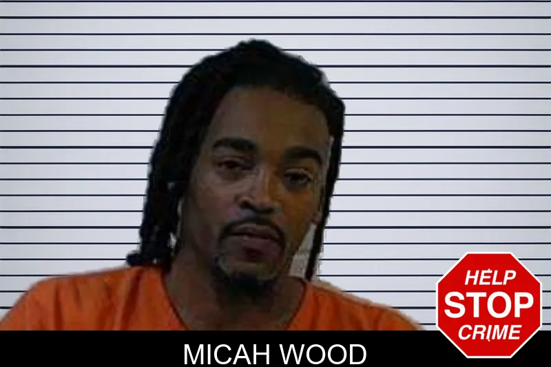 Micah Wood mugshot