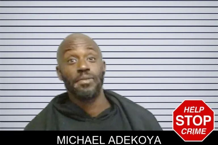 Michael Adekoya mugshot – Fulton County , Georgia Michael Adekoya