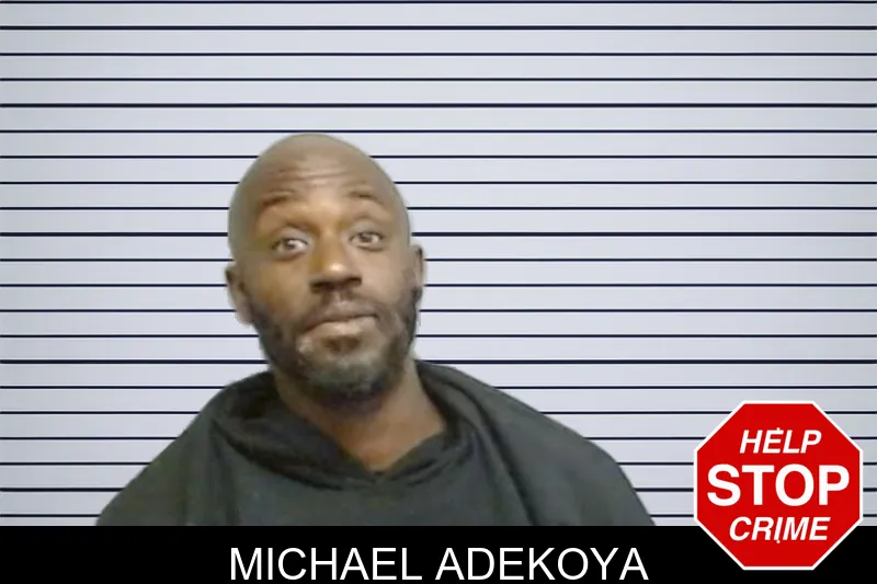Michael Adekoya mugshot
