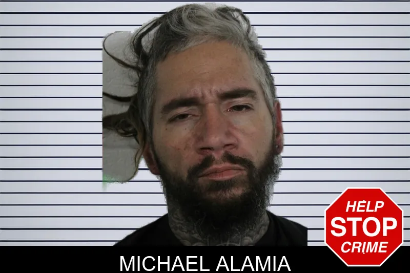 Michael Alamia mugshot
