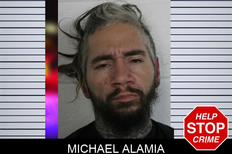 Michael Alamia mugshot