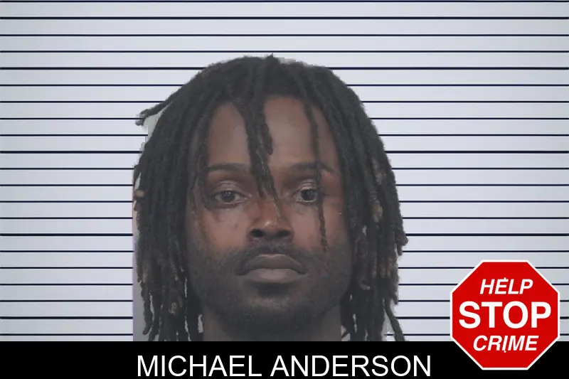 Michael Anderson mugshot